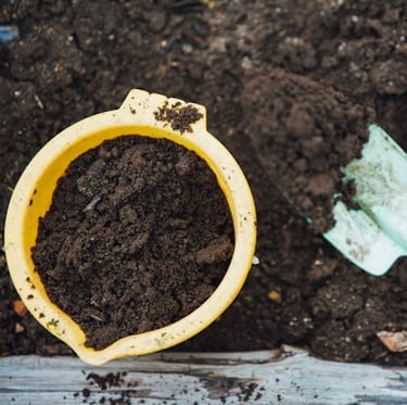 finished leaf mold compost