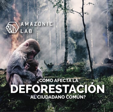 ¿Como afecta la deforestación al ciudadano común?