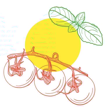 Basil tomatoes line illustration