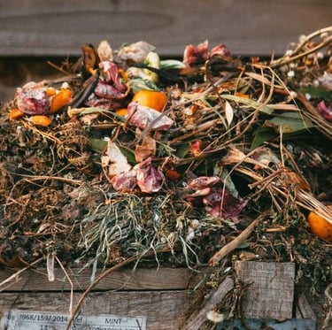 a lot of great compost ingredients like eggshells, leaves and orange peels in a compost pile