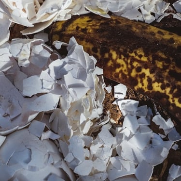 paper and banana peels: two good compost ingeredients