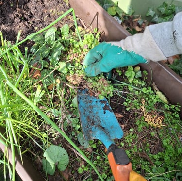 a person that is removing weeds out of a garden bed