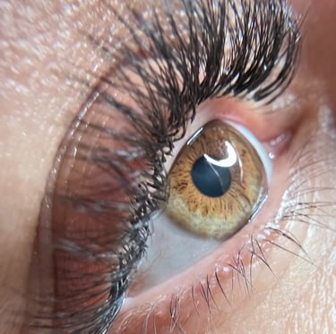 Lashes in Elig Beauty Salon.