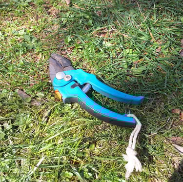 a pruning shear for trimming hanging garden plants