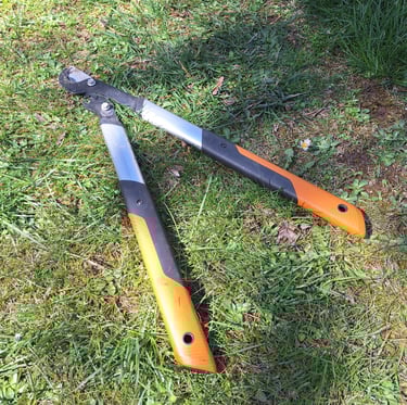 the pruning saw we used for digging up shrubs