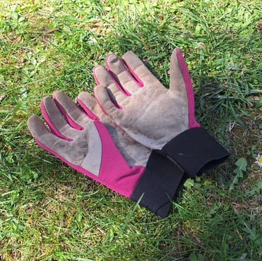 a pair of gloves for trimming hanging garden plants 