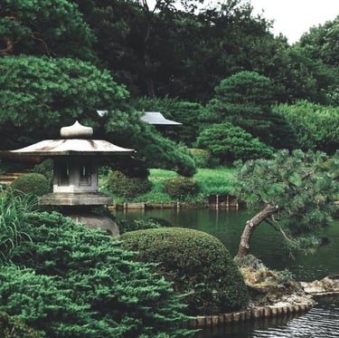 a Japanese garden with low maintenance plants
