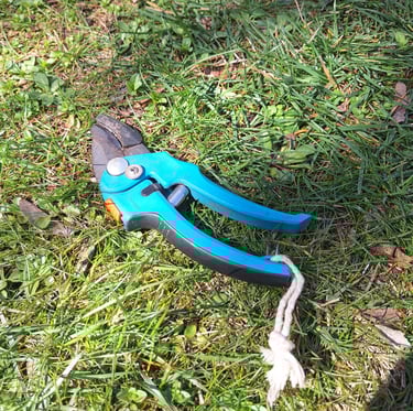https://gardenerspath.com/how-to/animals-and-wildlife/deer-fence-diy/