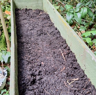 a well prepared soil for planting herb seeds