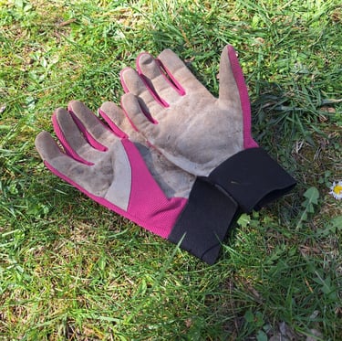the gloves we used for protection