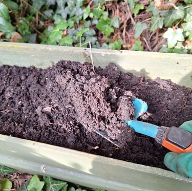 a proper soil mix for plants