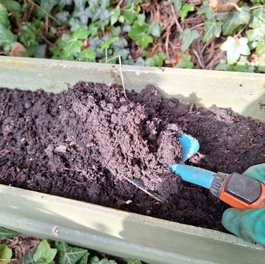 a lot of brown soil ideal for Dill in a container