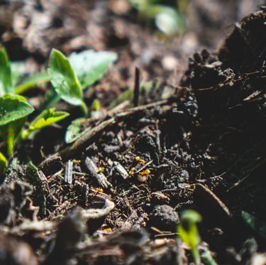 cold composting as a natural composting method