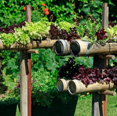 a vertical garden with multiple vegetables