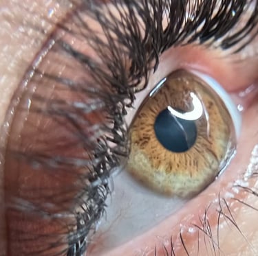 Lashes in Elig Beauty Salon by Daylin.