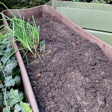 much brown dirt in a planter