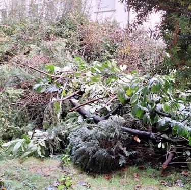 compost materials which need to be decomposed