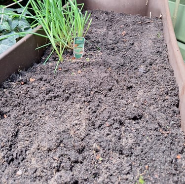 soil with no unwanted plants after using boiling water