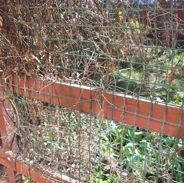 a strong fence we put up in our garden