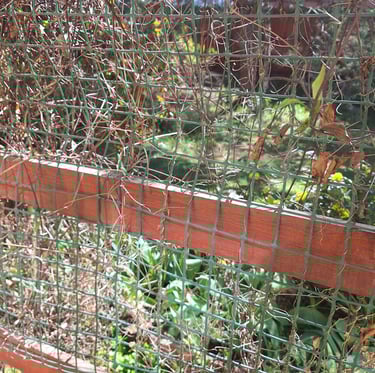 a phisical barrier for cats and other animals