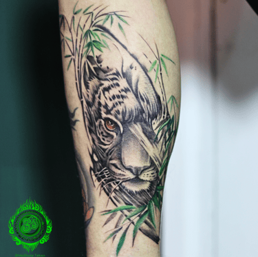 Lifelike tiger tattoo on the leg, surrounded by green bamboo, realism style by MaxDuong Tattoo