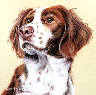 Oil painting a dog portrait of Scruff