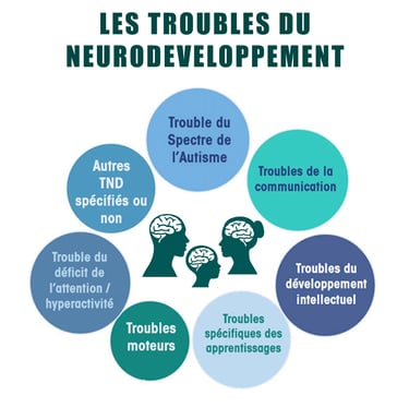 PESTICIDES SANTÉ TROUBLES NEURODEVELOPPEMENT