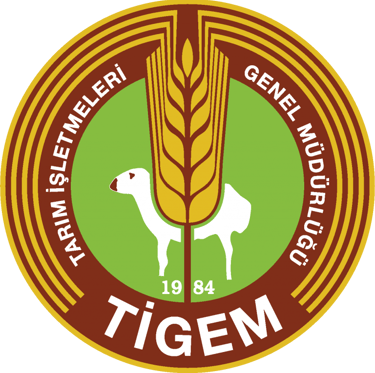 tigem