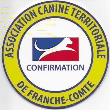 obtention du pedigree par une femelle Schnauzer