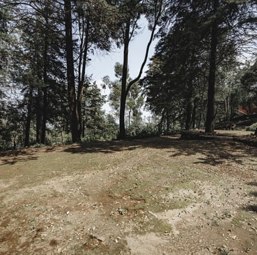 Terraza para eventos woodscape