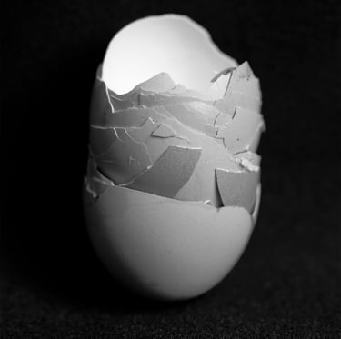 Anita Papp's still life featuring delicate eggshells, exploring fragility and the quiet beauty of or