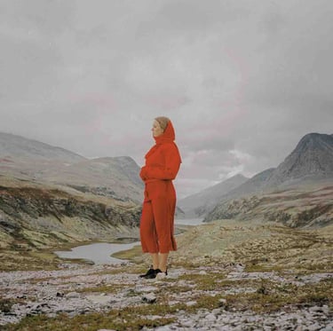 juni Habel - Evergreen in your Mind