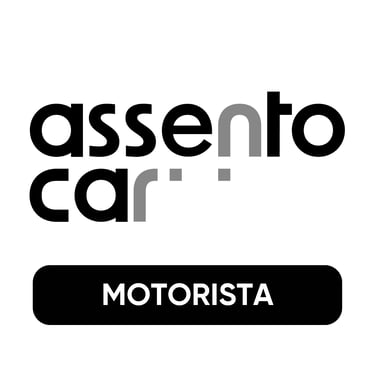 Assento Car Motorista