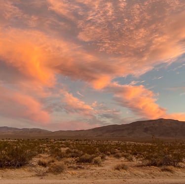 Sonora desert from Borrego Springs