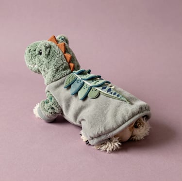 Un perrito con un disfraz de dinosaurio de peluche verde con escamas de tela sobre un fondo morado.