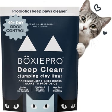 Boxie® Probiotic Cat Litter 40 Day Natural Odor Control, 16lb Clumping Kitty Litter (Clay)
