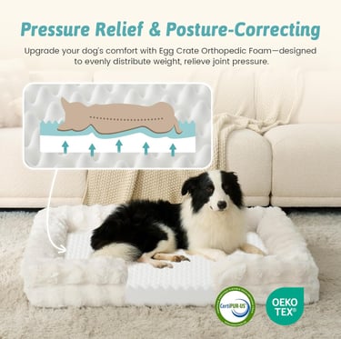 COZY KISS Orthopedic Dog Bed for Extra Large Dog 44x32 inch, XL Faux Fur Pet Sofa