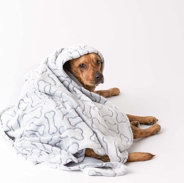 DII Bone Dry Microfiber Pet Blanket for Dogs and Cats, 36x48", Warm, Soft and Plush for Couch, Car