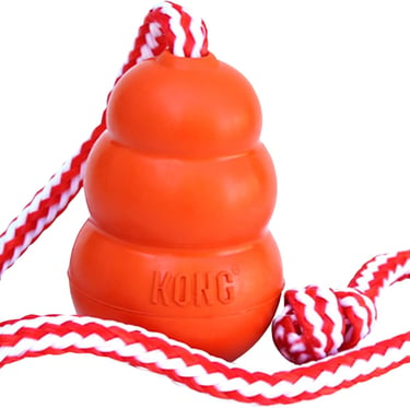 KONG Aqua - Floating Fetch Toy for Water Play - For Medium Dogs