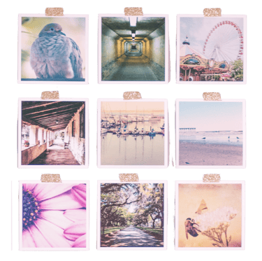 Nine square photos with a pink aesthetic, taped in three columns to an invisible wall.