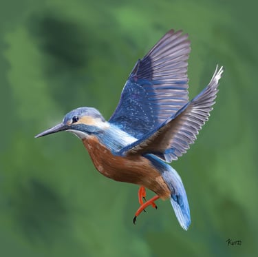 Common Kingfisher in flight