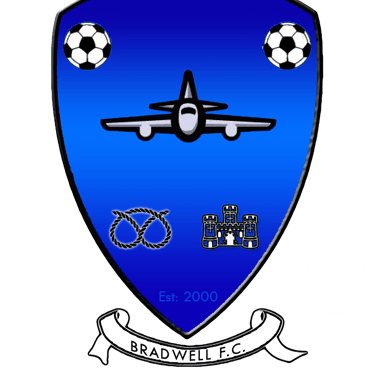 a blue shield with a soccer ball and a soccer ball