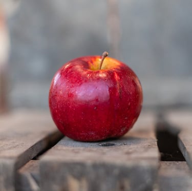 Pomme Idared bio cultivée en agriculture biologique en Savoie