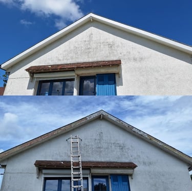 Peinture cache Moineau