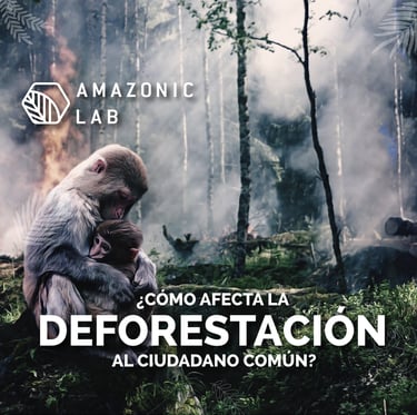 ¿Como afecta la deforestación al ciudadano común?