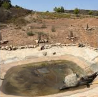 El charco, pequeño abrevadero en el paraje de El Charco Carrascoy