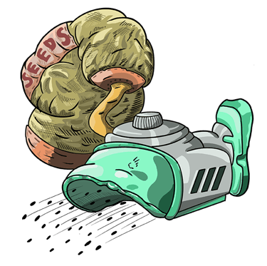 The Seeder, weapon of EOTM