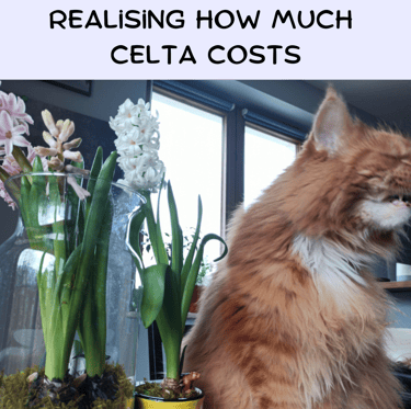 CELTA online blog