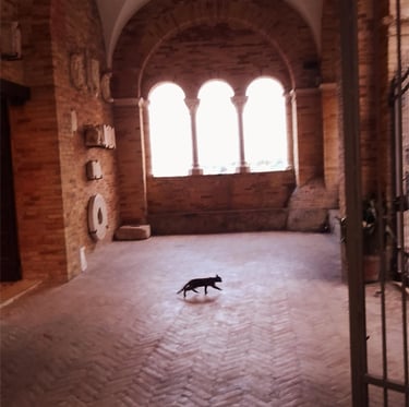Loreto Aprutino La Città dell'Olio