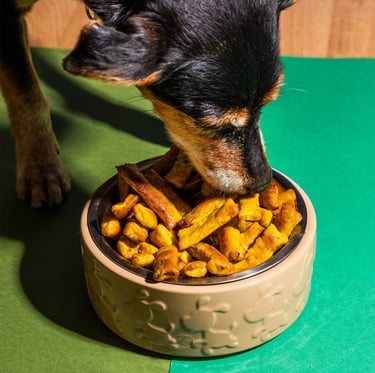 Dog eating nutritious plant-based dog food